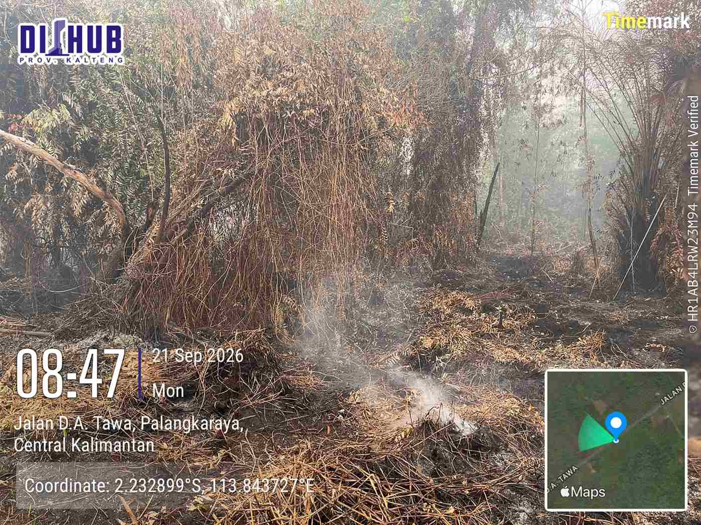Pasukan Relawan ASN dalam Penanggulangan Kebakaran Hutan dan Lahan (Karhutla) serta Penanganan Kabut Asap